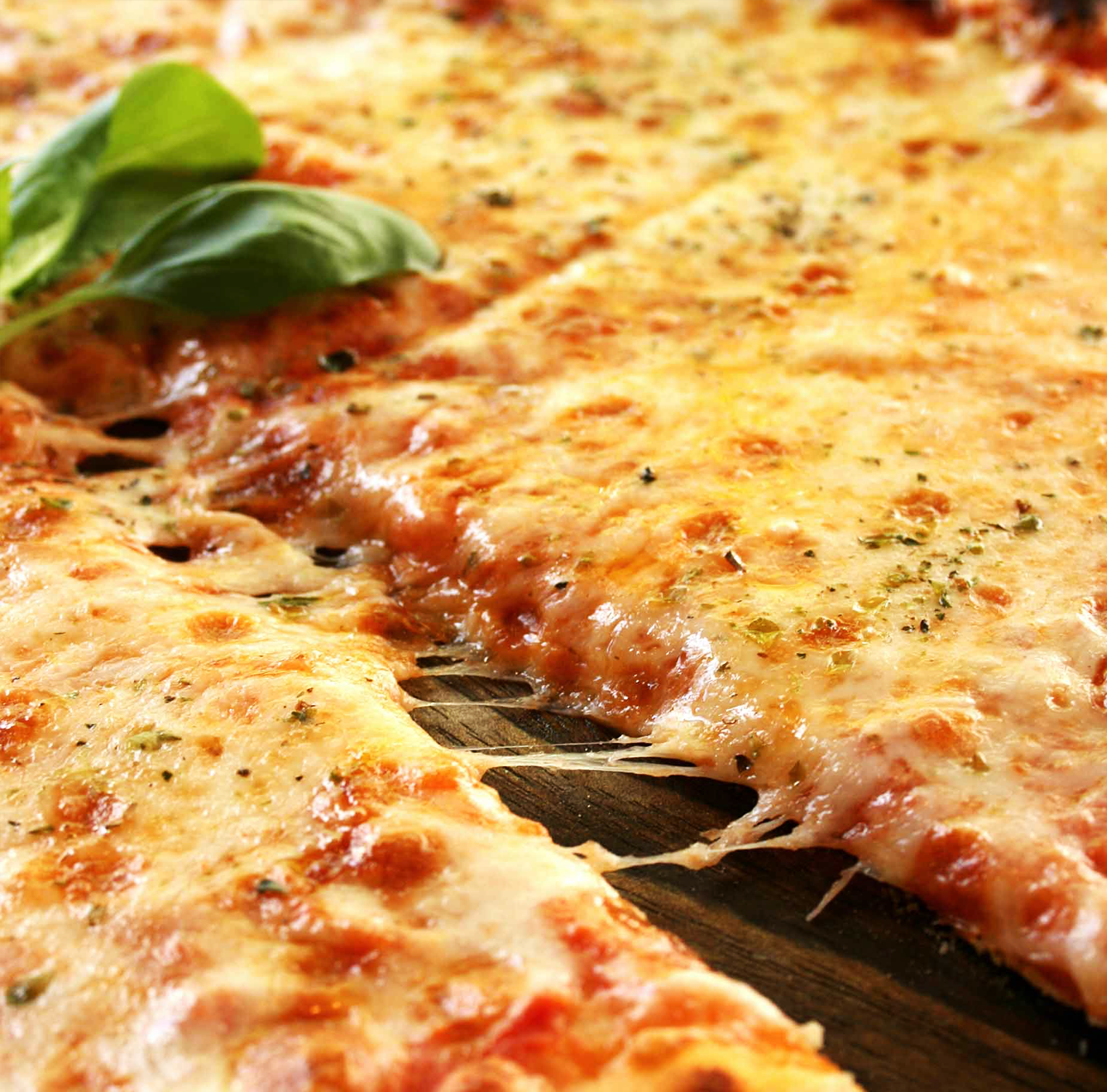 Large Plain Cheese Pizza